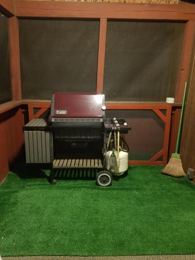 Saw Creek Cabin - Regent Hilltop ブッシュキル エクステリア 写真