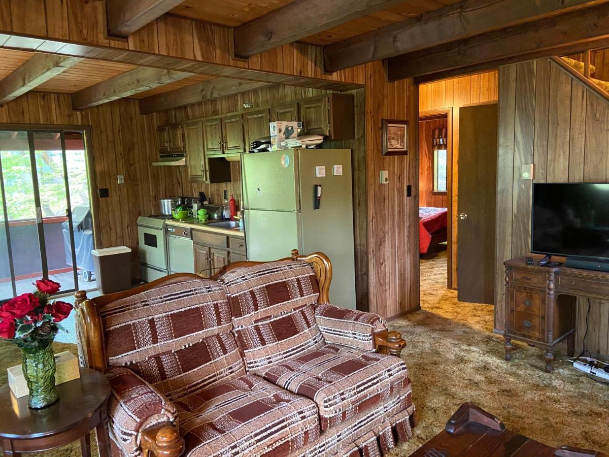 Saw Creek Cabin - Regent Hilltop ブッシュキル エクステリア 写真