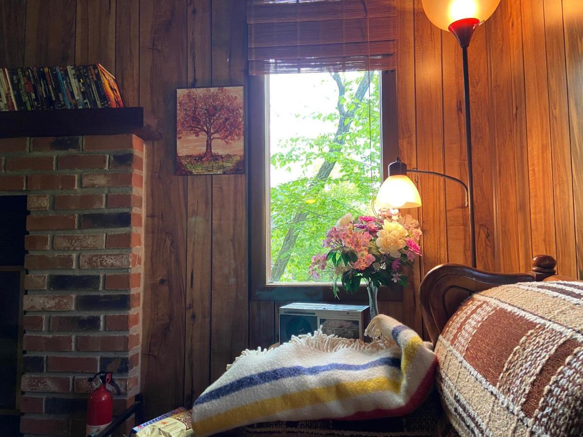 Saw Creek Cabin - Regent Hilltop ブッシュキル エクステリア 写真